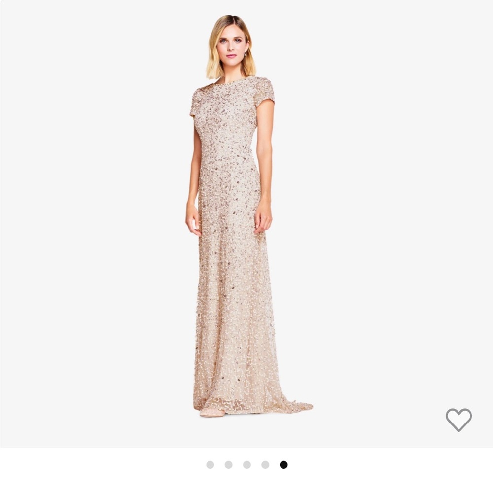 Adrianna Papell Blush Scoop Back Sequin Gown (6)